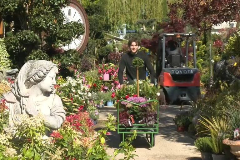 Une histoire de passion familiale à Chelles
