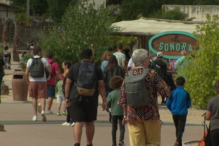 Un parc d&rsquo;attractions lance une assurance pluie : une solution pour des visites sereines ?