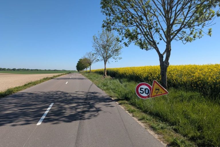 Quatre jeunes tués dans un accident de voiture en France après avoir percuté un arbre.