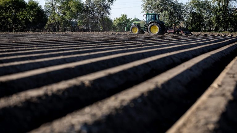 Crise agricole en France : 43 % des agriculteurs perçoivent moins d&rsquo;un SMIC.