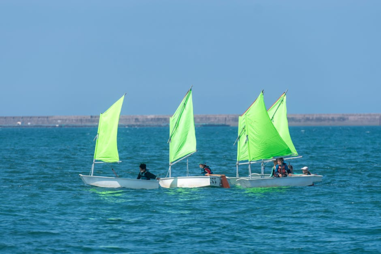 Des sports gratuits pour les jeunes et seniors : un luxe que les dirigeants RN jugent superflu !