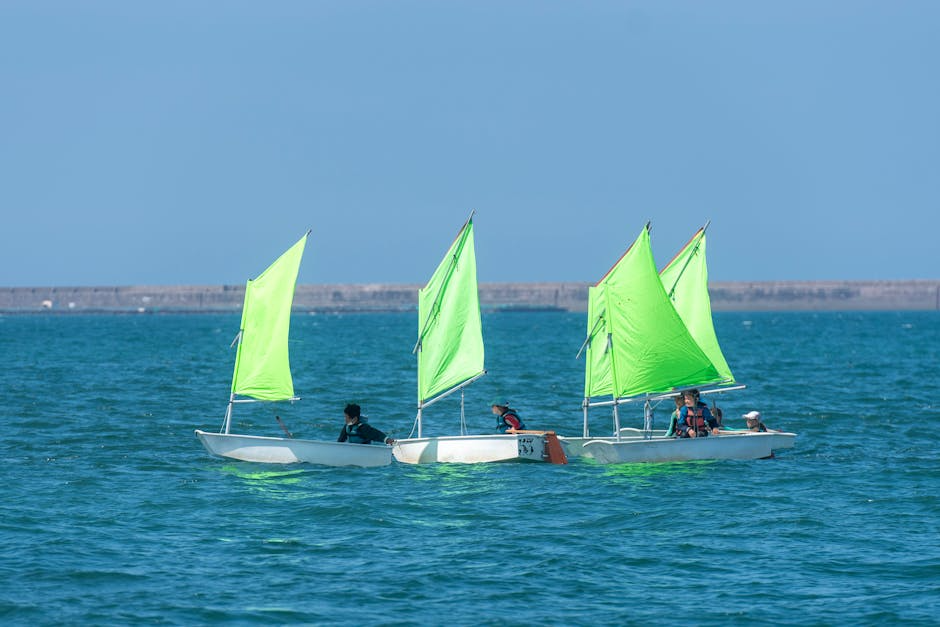 Des sports gratuits pour les jeunes et seniors : un luxe que les dirigeants RN jugent superflu !