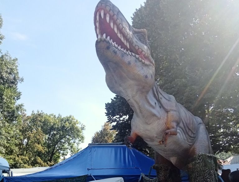 Jurassic Shark : Quand la Préhistoire fait des vagues à Saint-Lô