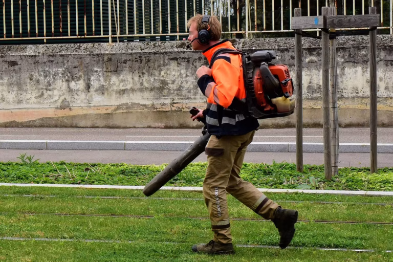 Pourquoi le rugissement des souffleurs de feuilles est l&rsquo;archétype du bruit inutile