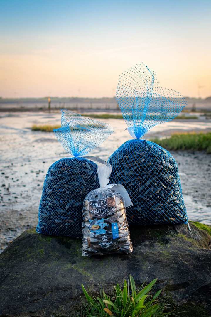 Moules de filière de l&rsquo;île d&rsquo;Houat : nouvelles régulations pour la durabilité de la production.