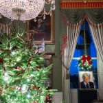 Et si la folie des riches était la vraie maladie ? Trump et les dérives des villes RN !