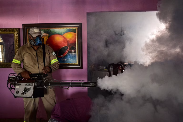 La dengue : un fléau qui fait le tour du monde, mais pas des bureaux politiques