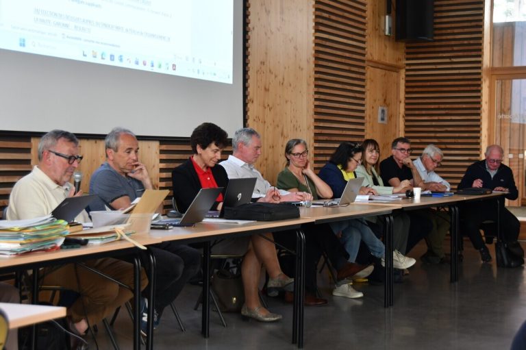 Les Indemnités des Élus Locaux : Un Sujet Délicat mais Nécessaire