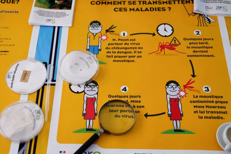 Chikungunya : La maladie qui frappe à notre porte, mais qui s’en préoccupe vraiment ?