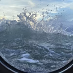 La Baltique en mutation : l&rsquo;héritage d&rsquo;Elisabeth Mann Borgese face aux enjeux environnementaux.