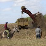 Cuba libéralise l'agriculture : quand les régimes extrêmes se moquent de la logique économique !