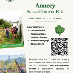 Balade Natur'en Fait : Quand les villes RN se transforment en musées d'absurdités conservatrices !