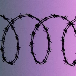 Algérie : Les camps de regroupement, un retour absurde aux promesses des dirigeants conservateurs !