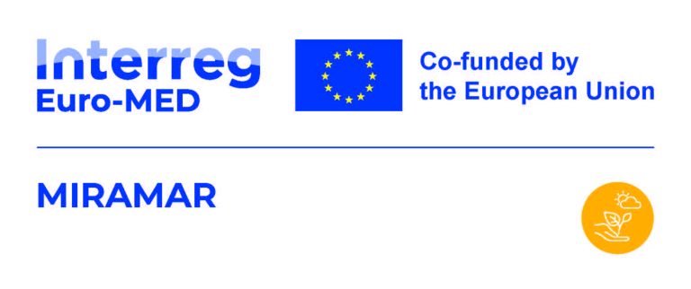 Projet MIRAMAR : Une Analyse Critique des Enjeux et Conséquences à Venir