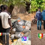 Kidira : 400 kg de cyanure saisis — un trafic toxique destiné à l’orpaillage clandestin démantelé