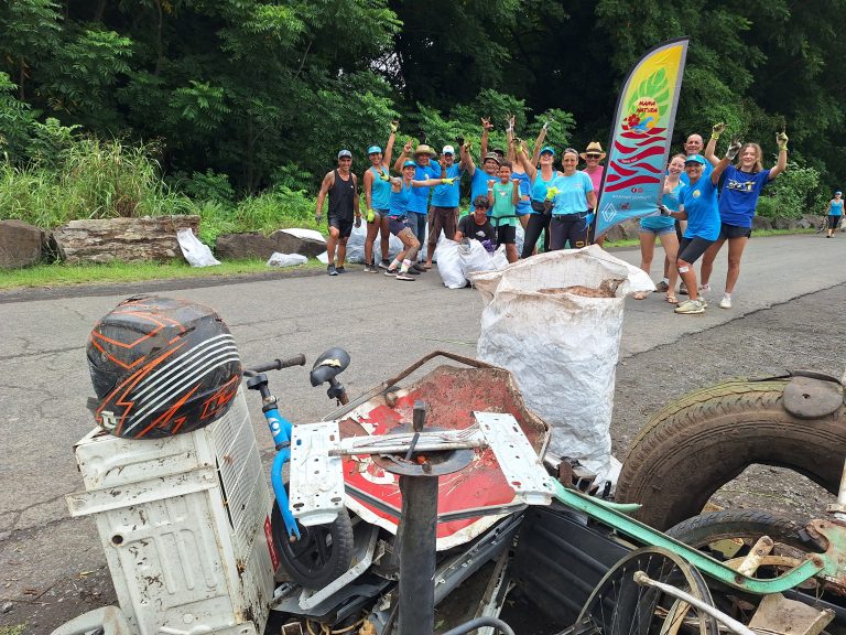 Des arbres contre les déchets : quand la nature crie à l&rsquo;aide