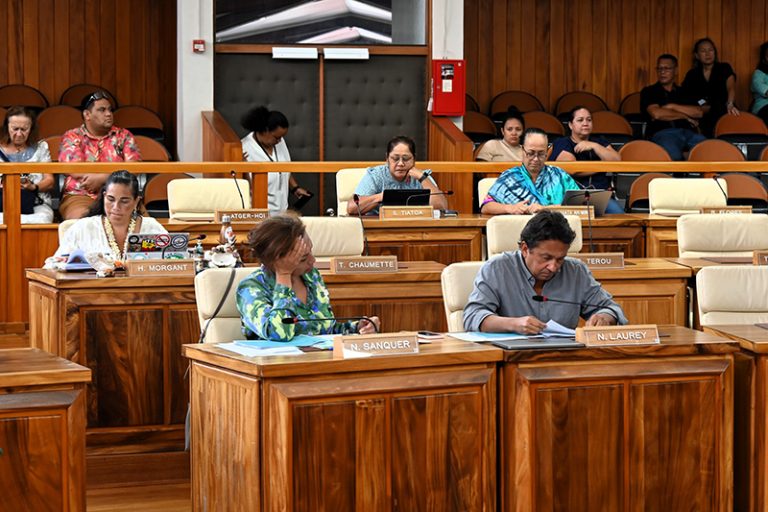 Réforme du RNS : Nicole Sanquer, la nouvelle stratège de l’ambiguïté politique