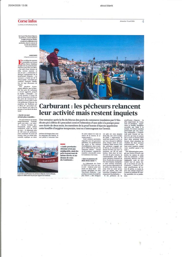 Carburant : comment les fluctuations des prix impactent notre quotidien et l&rsquo;économie