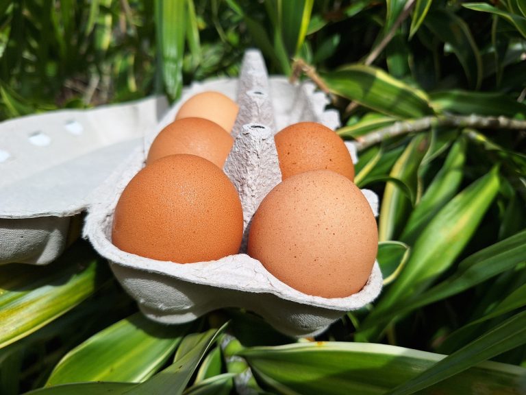 Cinquante jours après : quelles restrictions persistent et pourquoi ?