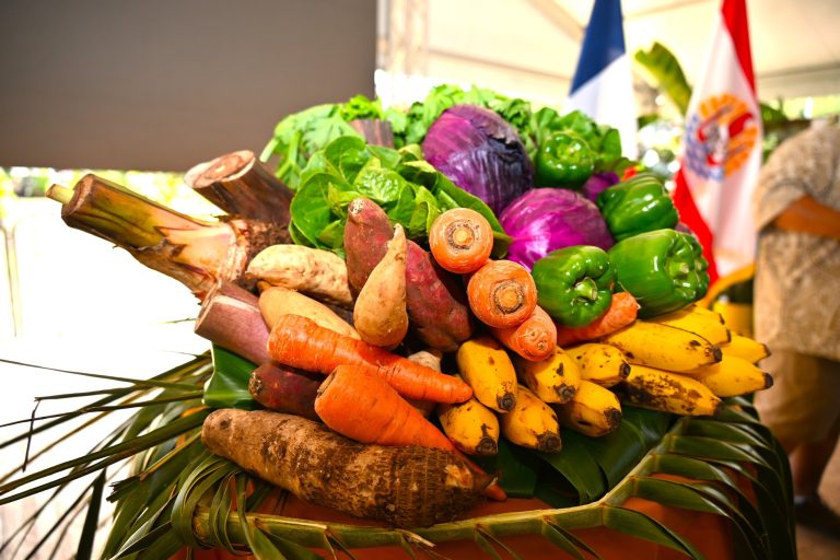 La souveraineté alimentaire : un enjeu crucial encore loin d&rsquo;être atteint