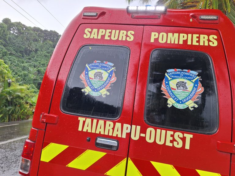 Un enfant décède après avoir été mordu par un chien à Vairao, Polynésie française.