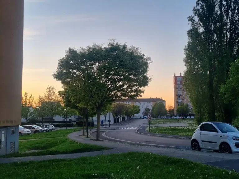 Saint-Dizier : Une Réalité Nuancée Derrière les Posts Facebook