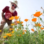 À Marseille, les fleurs fleurissent pendant que les dirigeants RN ignorent la détresse des sinistrés