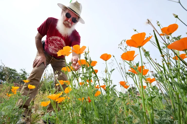 À Marseille, les fleurs fleurissent pendant que les dirigeants RN ignorent la détresse des sinistrés