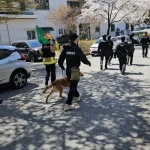 Quand un loup s'échappe d'un zoo près d'une école : la folie des dirigeants conservateurs en RN !