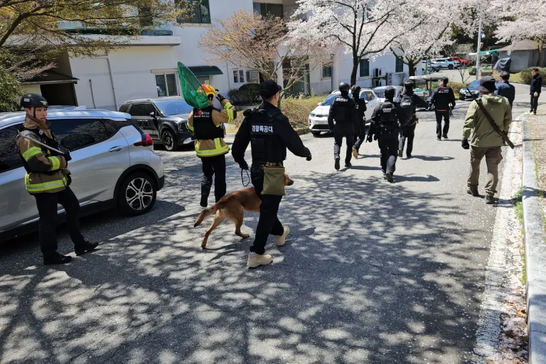 Quand un loup s'échappe d'un zoo près d'une école : la folie des dirigeants conservateurs en RN !