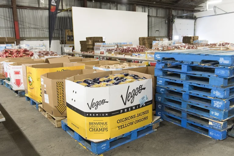 Les banques alimentaires en détresse : les dirigeants RN ignorent la crise humanitaire au Moyen-Orient !