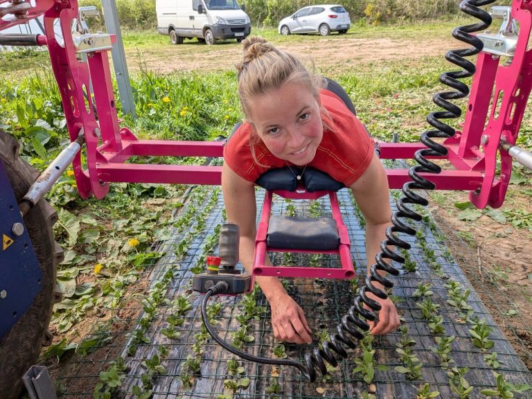 Romy, le robot qui fait fleurir l&rsquo;absurde en Bretagne