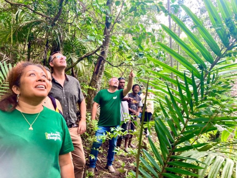 Une Heure dans le Noir : Quand la Nature Crie au Secours