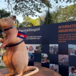 À Cambodge, une statue célèbre Magawa, le rat ‘démineur’ : quand les dirigeants locaux perdent le nord !