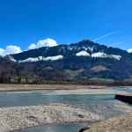 À la dérive au lac de la Gruyère : quand les politiques conservatrices plongent les familles dans l'absurde !