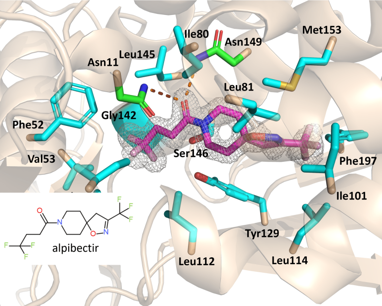 Comment une nouvelle stratégie pourrait transformer l&rsquo;efficacité d&rsquo;un antibiotique contre la tuberculose