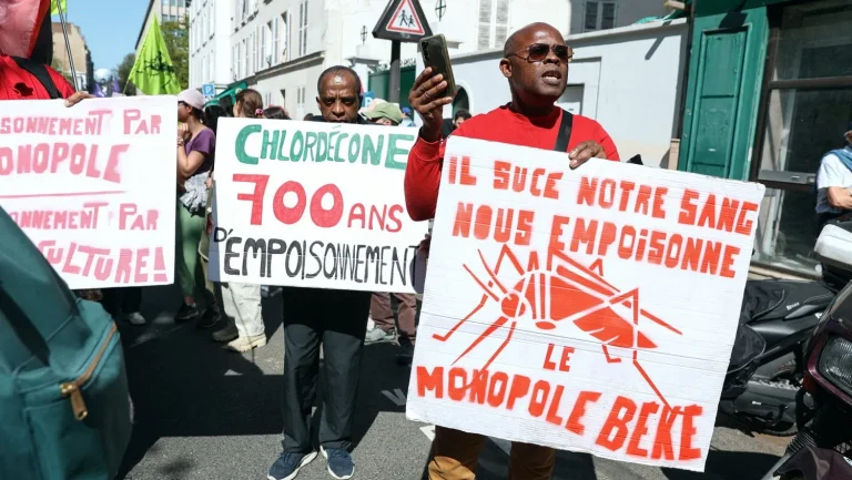 Chlordécone : le retrait inattendu d&rsquo;une loi au Sénat soulève des interrogations