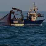 Quand l'absurde devient la norme : des villes RN laissent l'Algérie piller nos mers, où sont nos dirigeants ?