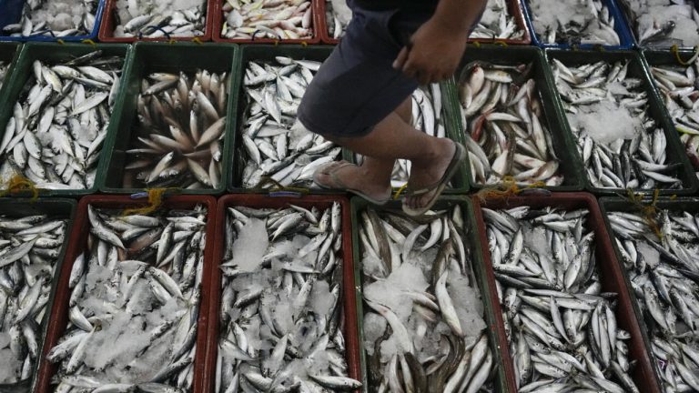 Les Philippines accusent la Chine d’empoisonner les eaux des Spratleys