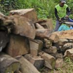 Déforestation en Indonésie : 66% d'augmentation en 2025, les dirigeants conservateurs détournent le regard !