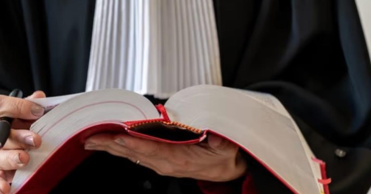 Grève : les avocats de Martinique mobilisés contre la loi SURE