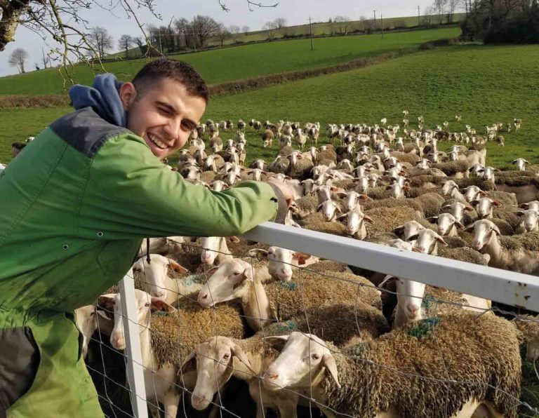 Quand la jeunesse s&rsquo;installe… dans un monde absurde