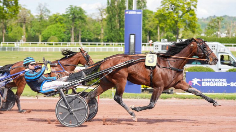 L&rsquo;Ascension d&rsquo;un Survivant : Quand la Crise Fait Briller le Champion