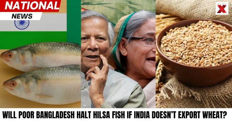 Bangladesh demande du blé indien, envisage d'interdire l'exportation de poisson Hilsa.