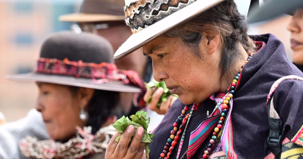 Bolivie : Les producteurs de coca se désolidarisent de la cocaïne, mais que font nos dirigeants ?!