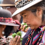 Bolivie : Les producteurs de coca se désolidarisent de la cocaïne, mais que font nos dirigeants ?!