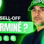 Bourse et BTC : la fin d'un sell-off ou l'illusion d'une reprise ? Analyse choc de Vincent Ganne !