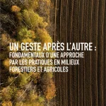 Quand les forêts et champs se plient aux caprices des élus : l'absurdité des politiques locales en RN