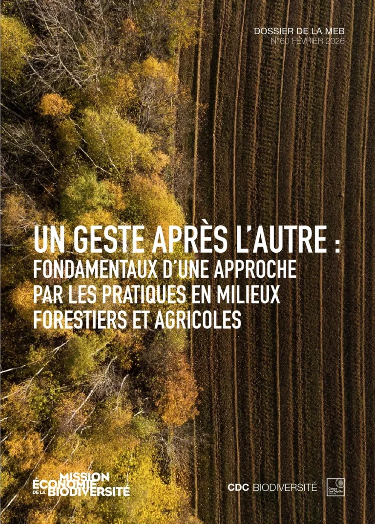 Quand les forêts et champs se plient aux caprices des élus : l'absurdité des politiques locales en RN