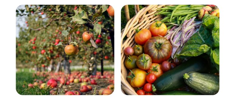 L&rsquo;accès à la terre : un enjeu crucial pour les futurs agriculteurs